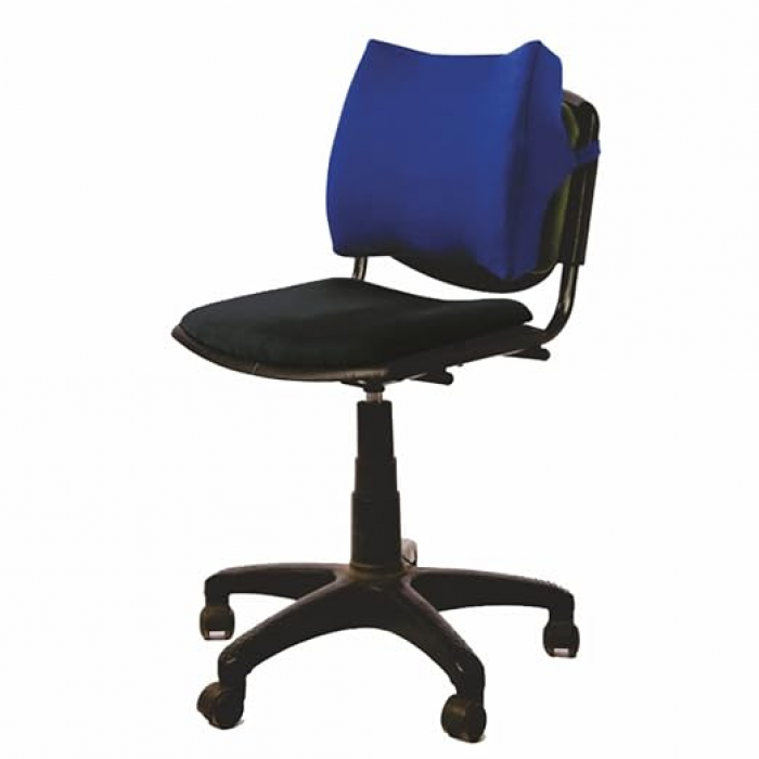 Vissco Moulded Orthopaedic, Back Support 